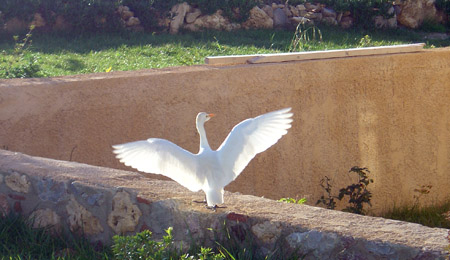 Ecologie