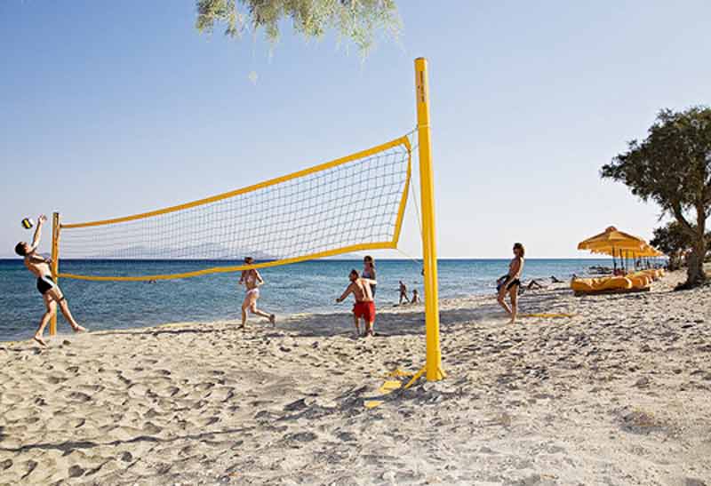 Volleyball Playing.